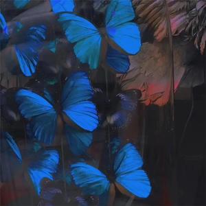 被猛鬼侵犯高潮
